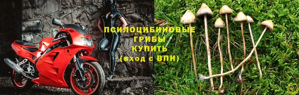 эйфоретик Алексеевка