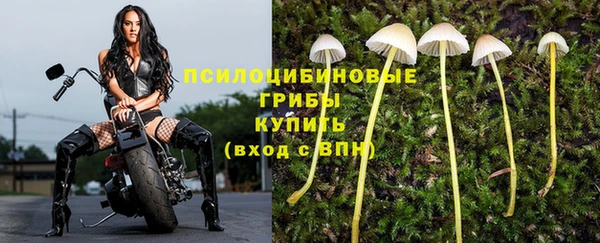 эйфоретик Алексеевка